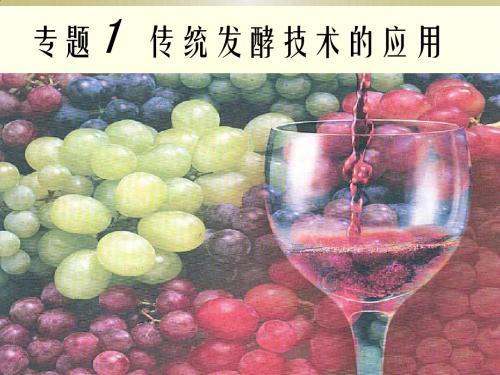 高中生物选修1 专题1 课题1 果酒和果醋的制作