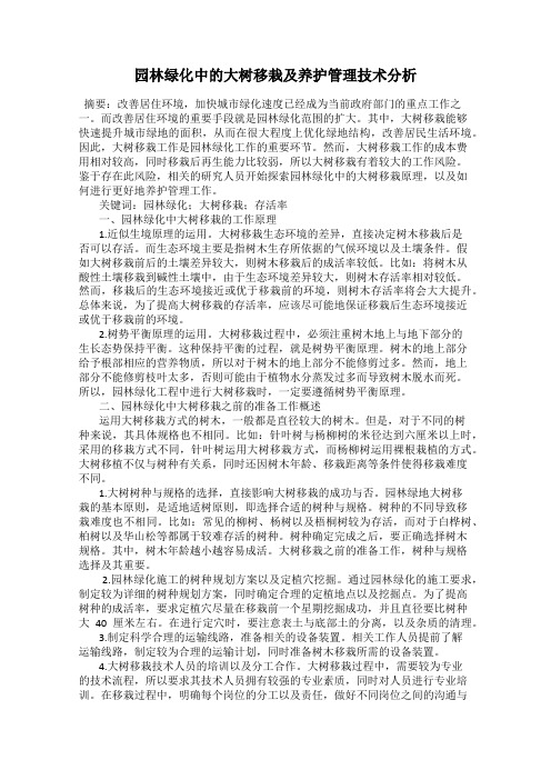 园林绿化中的大树移栽及养护管理技术分析