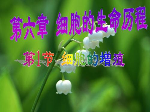 人教版高一生物必修一6.1细胞的增殖教学课件 (共34张PPT)