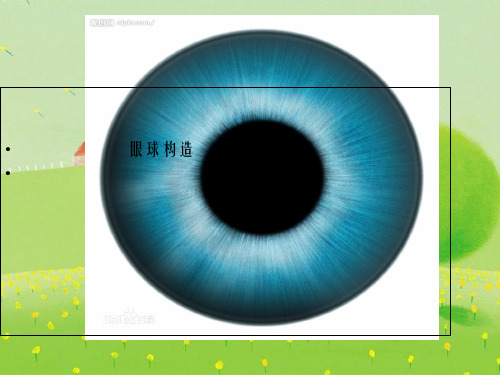 《眼球结构》幻灯片PPT