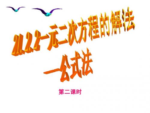 21.2.2_一元二次方程的解法_公式法(2)