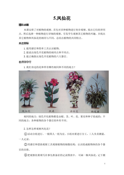 (冀人版)小学科学教与学·三年级上5.凤仙花