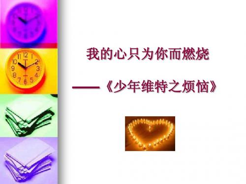 《少年维特之烦恼》
