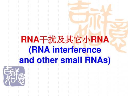 分子生物学第十章 RNA干扰及其它小RNA的作用 PPT课件
