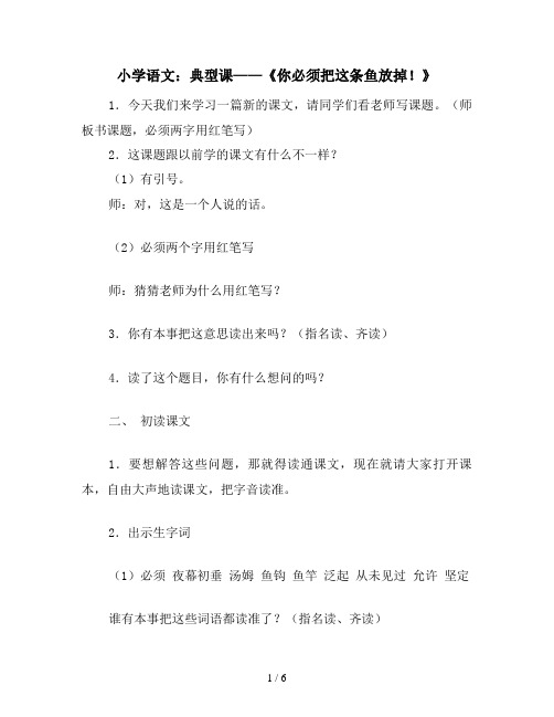 小学语文：典型课——《你必须把这条鱼放掉!》