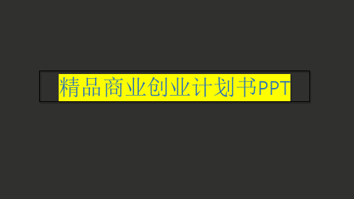 精品商业创业计划书PPT22