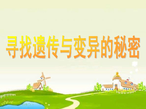 六年级下科学课件寻找变异与遗传的秘密_苏教版