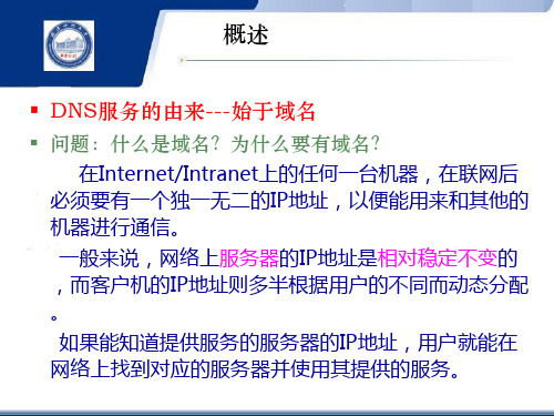 域名服务系统