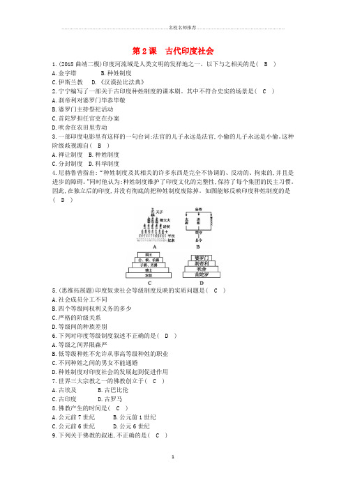 噶米精编九年级历史上册《第一单元 古代世界》第2课 古代印度社会课后练习 中华书局版