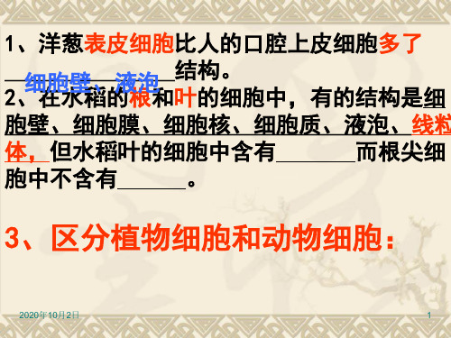 第二单元第一章第四节细胞的生活PPT课件