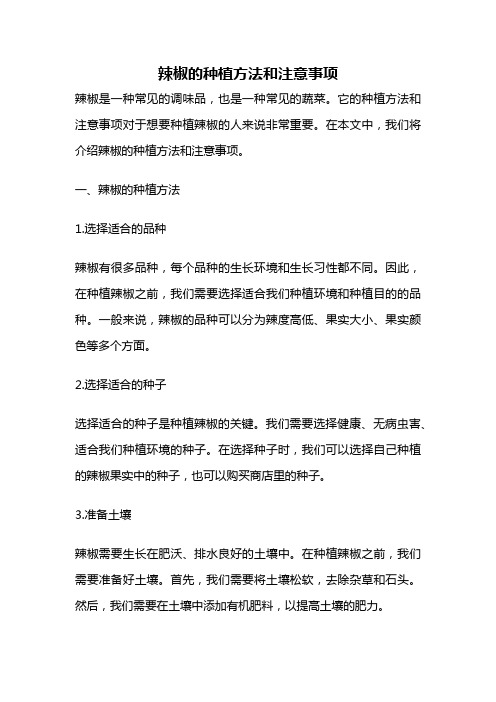 辣椒的种植方法和注意事项