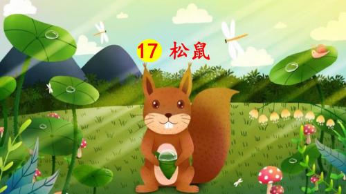 部编版五年级语文上册第17课《松鼠》精品PPT课件