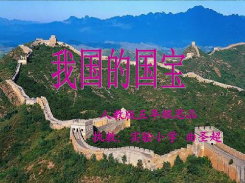 我国的国宝PPT