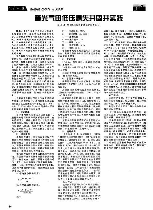 普光气田低压漏失井固井实践