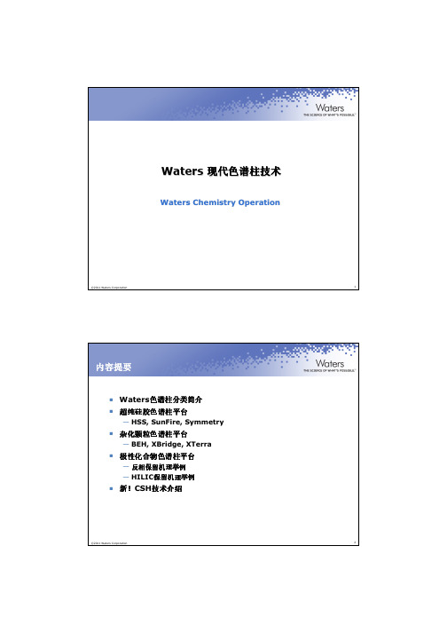 色谱柱技术