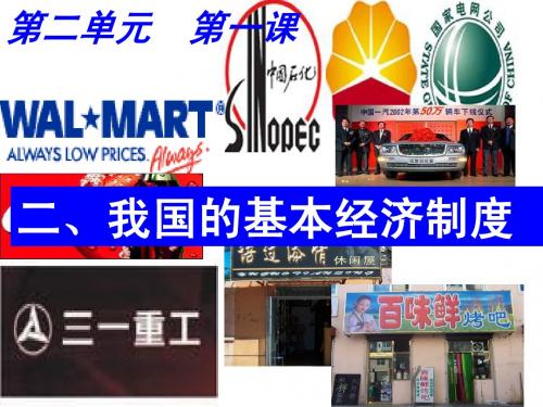 我国的基本经济制度