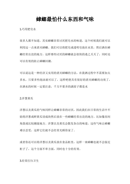 蟑螂最怕什么东西和气味