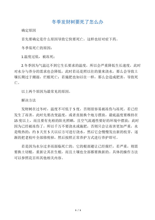 冬季发财树要死了怎么办