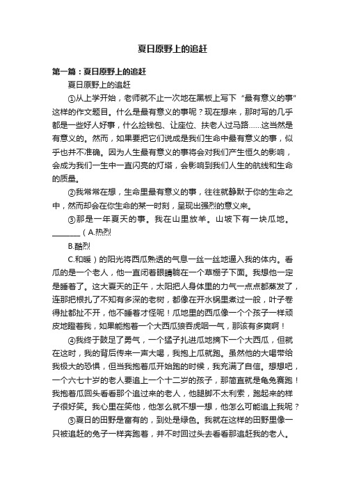 夏日原野上的追赶