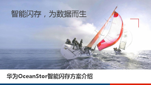 华为OceanStor智能闪存方案介绍