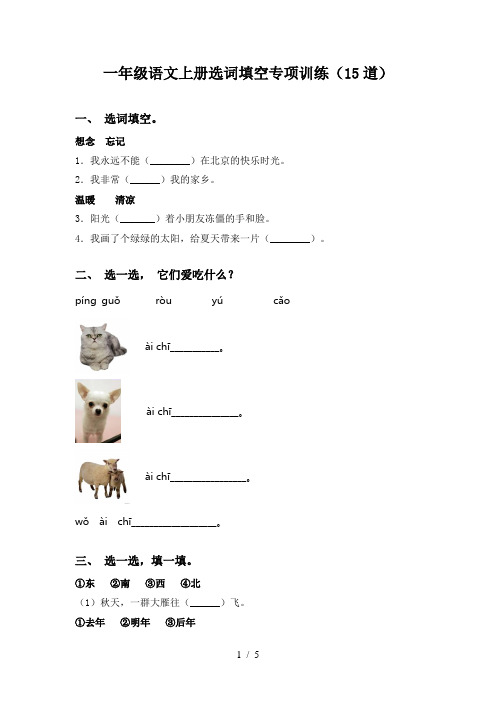 一年级语文上册选词填空专项训练(15道)