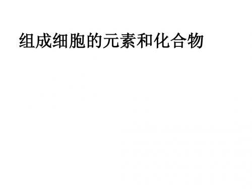 组成生物体的化合物