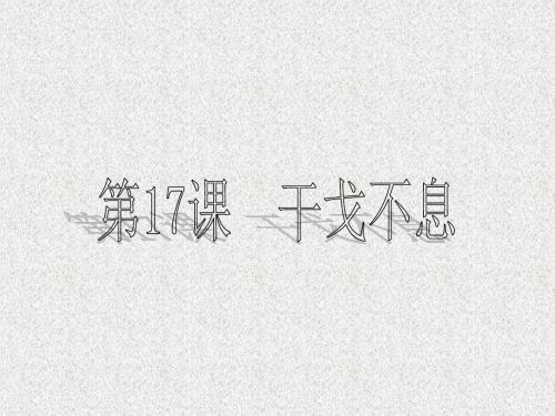 陕西省西安市庆安中学历史九年级下《第17课干戈不息》课件(北师大版)