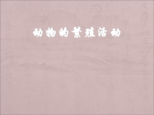 四年级下册科学课件-2.7 动物的繁殖活动｜教科版 (共32张PPT)