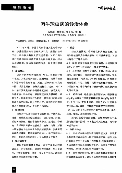 肉牛球虫病的诊治体会