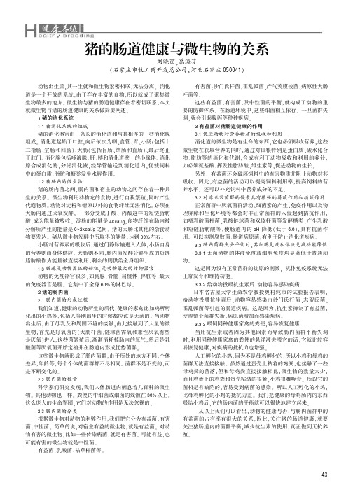 猪的肠道健康与微生物的关系