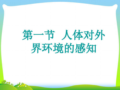 眼和视觉的形成_1-课件