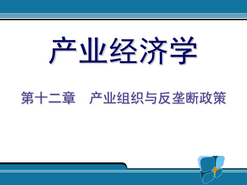 12.产业组织与反垄断政策