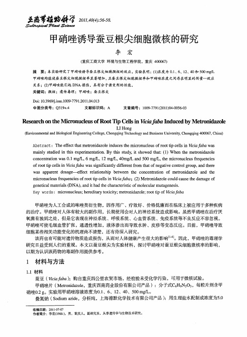 甲硝唑诱导蚕豆根尖细胞微核的研究