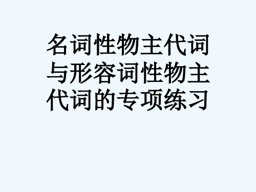 形容词性和名词性物主代词专项练习