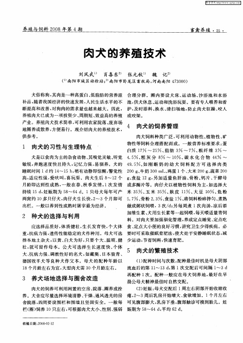肉犬的养殖技术