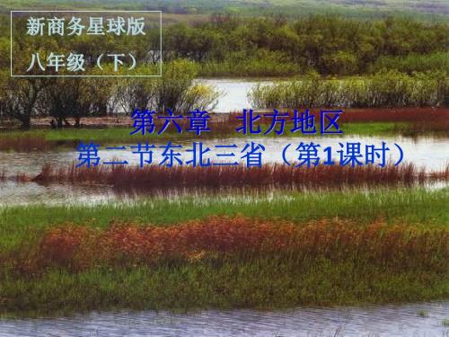 新商务星球版八年级下册第六章第二节《东北三省》(第1课时)课件