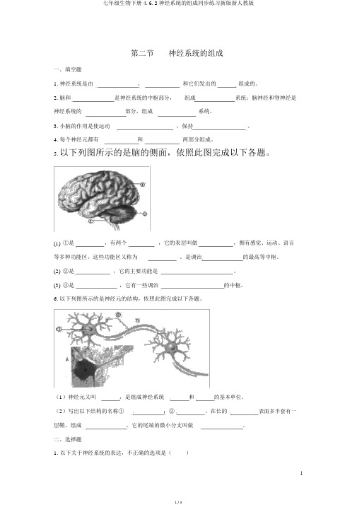 七年级生物下册4.6.2神经系统的组成同步练习新版新人教版