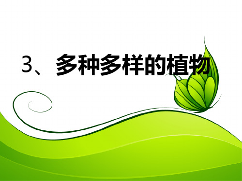 六年级上册公开课- 多种多样的植物教科版 (19张)课件下载