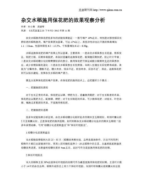 杂交水稻施用保花肥的效果观察分析