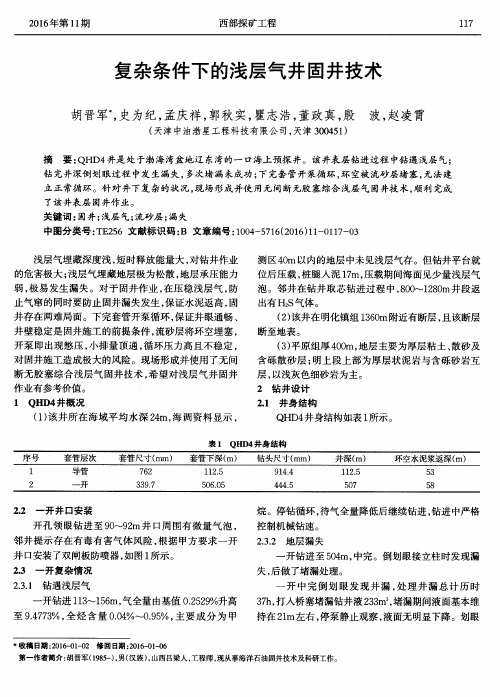 复杂条件下的浅层气井固井技术
