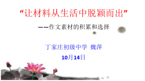 让材料从生活中脱颖而出—作文素材的积累和选择(课件40张)
