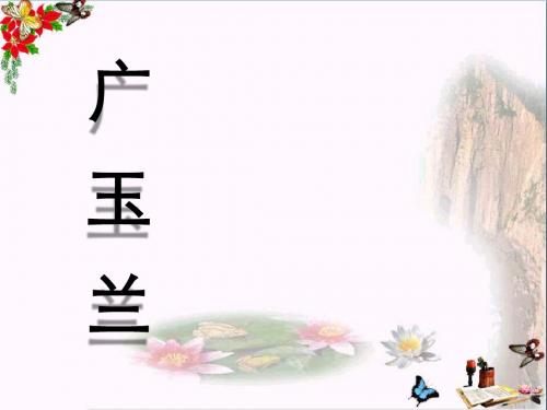 《广玉兰》 精品课件4(共43张)