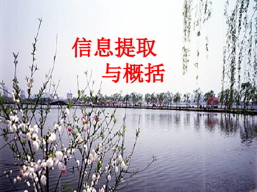 信息提取与概括
