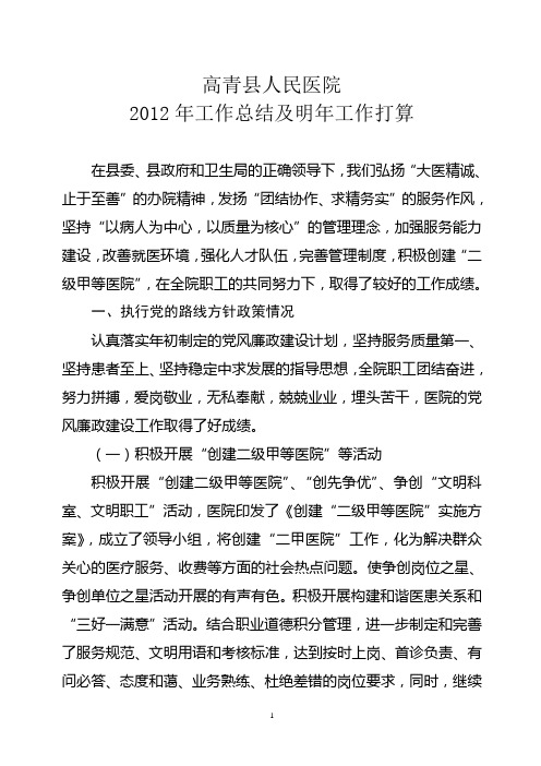 二级医院2012年工作总结及明年工作打算