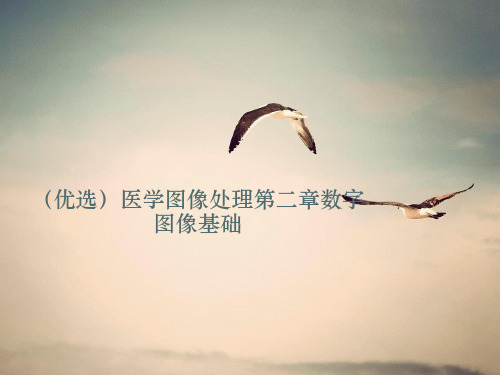(优选)医学图像处理第二章数字图像基础