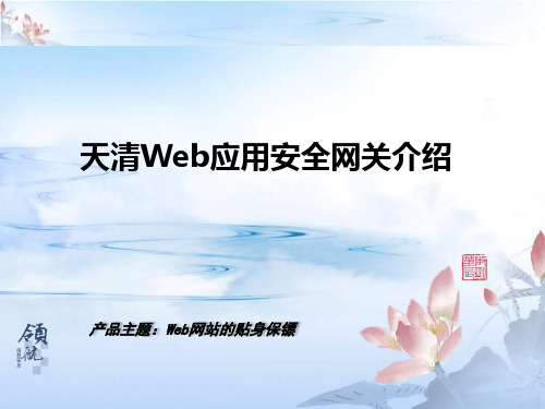 天清Web应用安全网关介绍