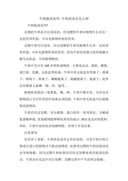 牛奶能浇花吗 牛奶浇花会怎么样