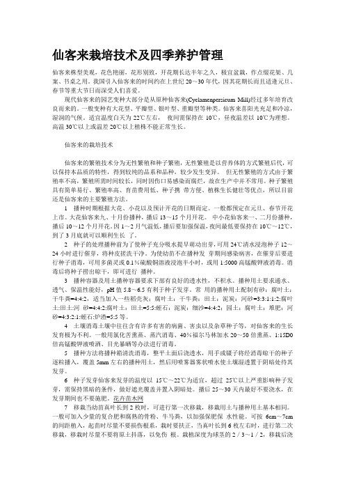 仙客来栽培技术及四季养护管理
