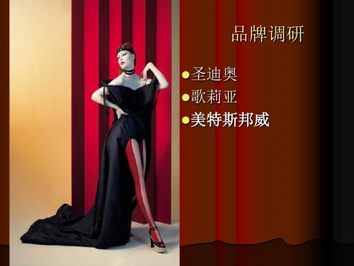 策划-服装品牌调研