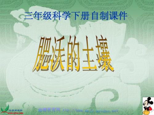 3.肥沃的土壤》课件